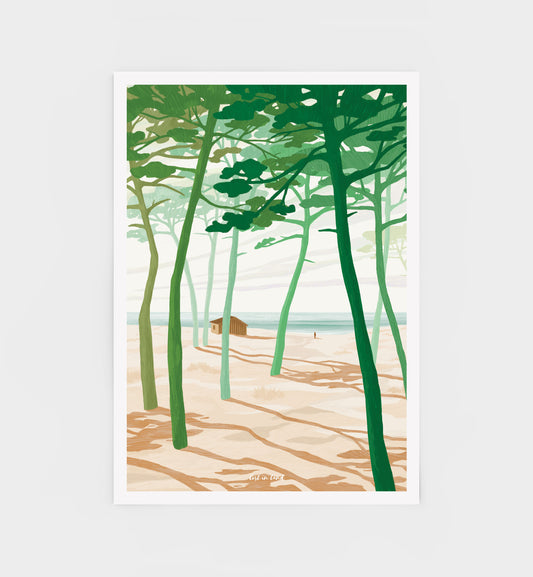 DUNE FOREST